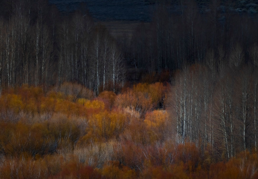 Ted Rigoni | Sojourn | 2D