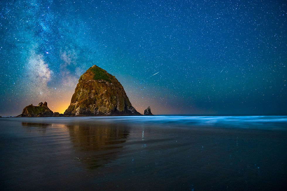 Kuria Jorissen | Ocean of Stars | Photography
