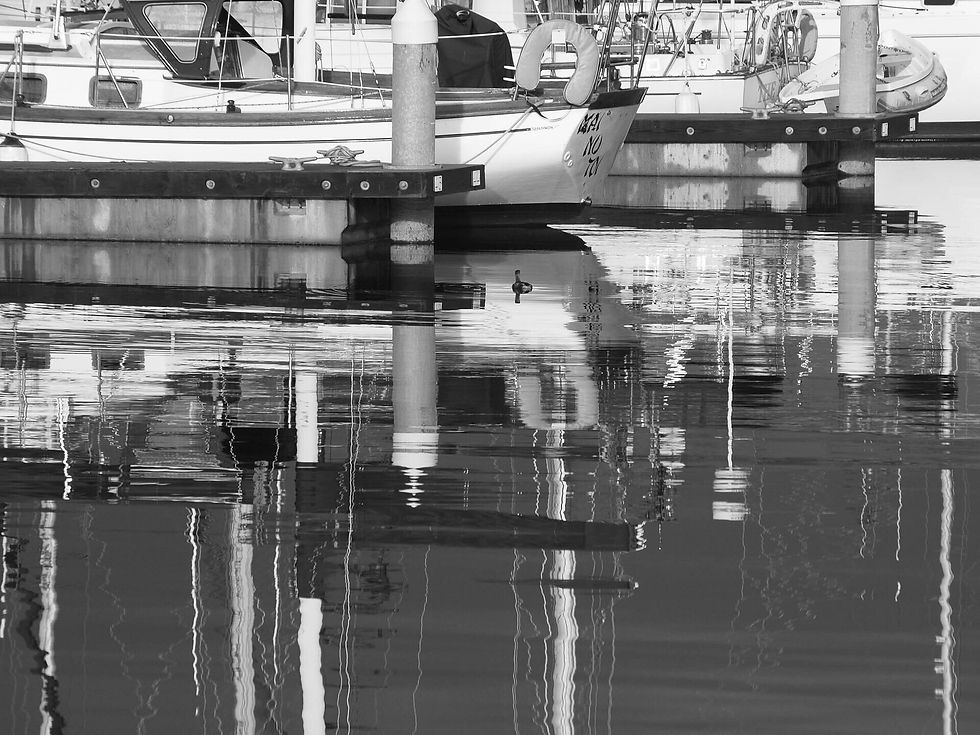 Karen Portzer | Fisherman Terminal, Seattle, Washington | Photography