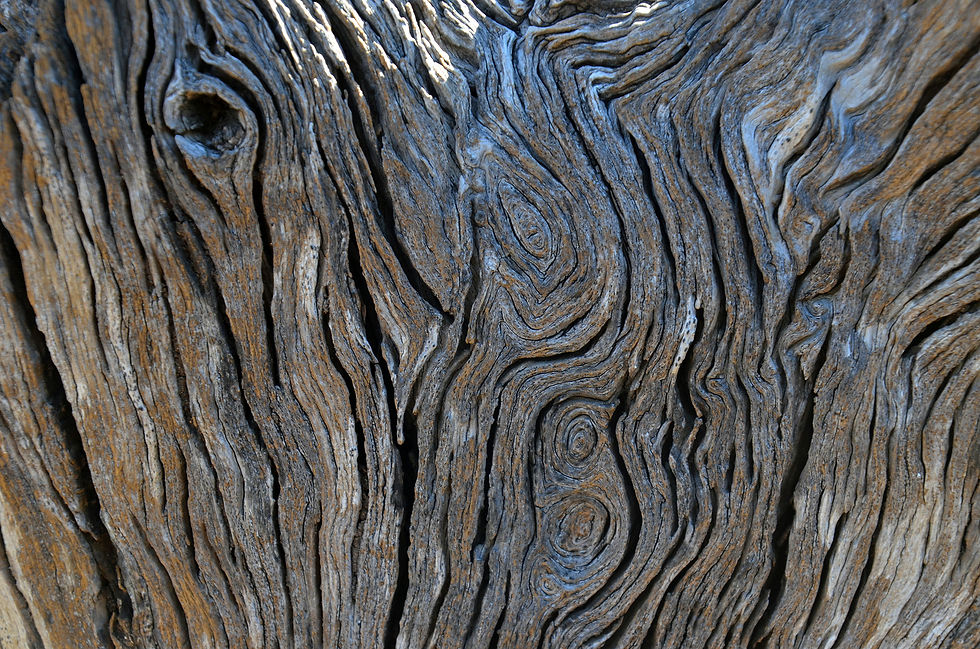 Peter Szarmach | Natural Abstract #77 | Photography