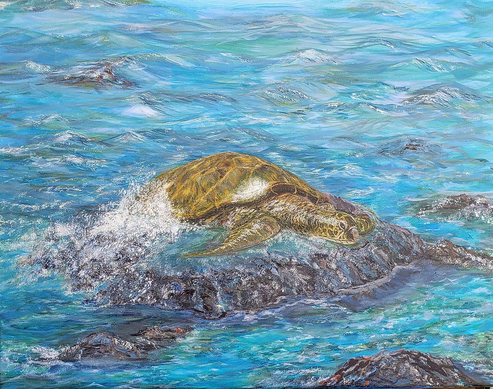 Theresa Williams | Maui Turtle | 2D