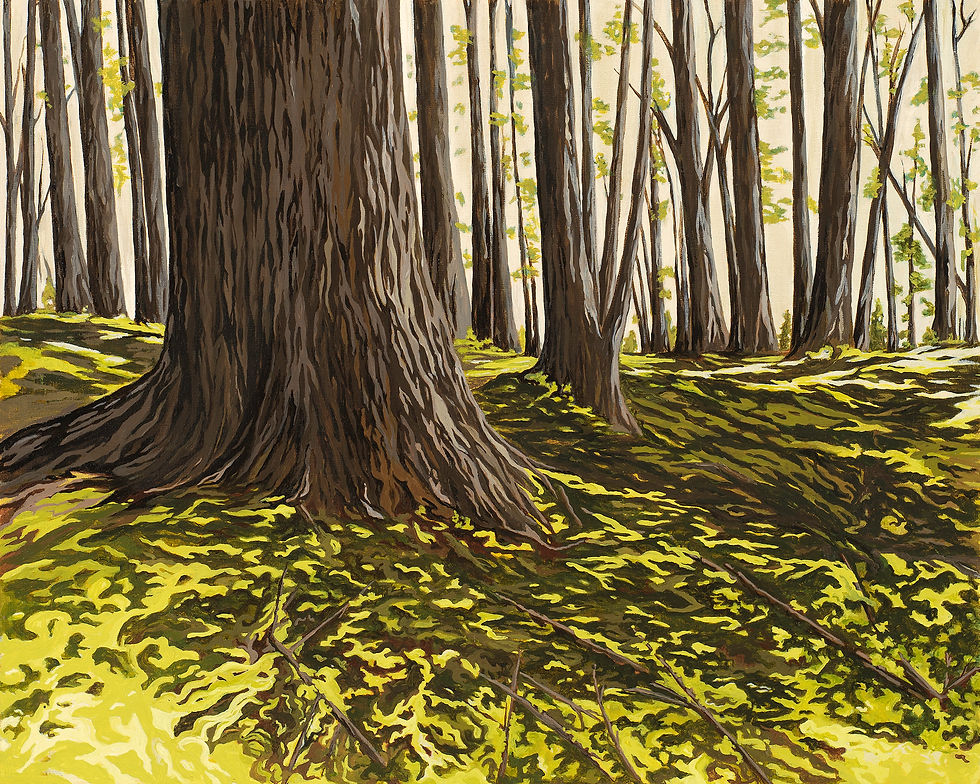 Roxanne Everett | Schoodic Woods | 2D | Honorable Mention