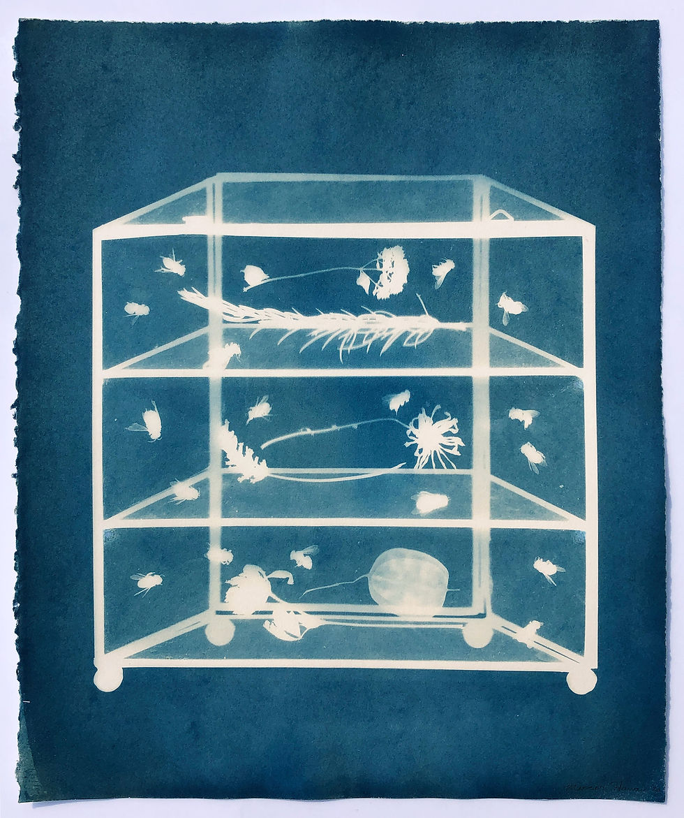 Mercer Hanau | Someday Cabinet II | 2D