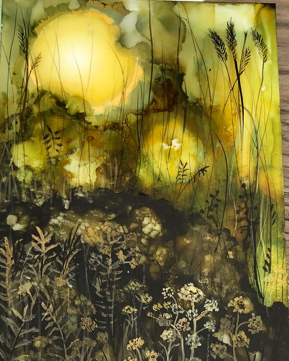 Reenie McMains | Illumine | 2D