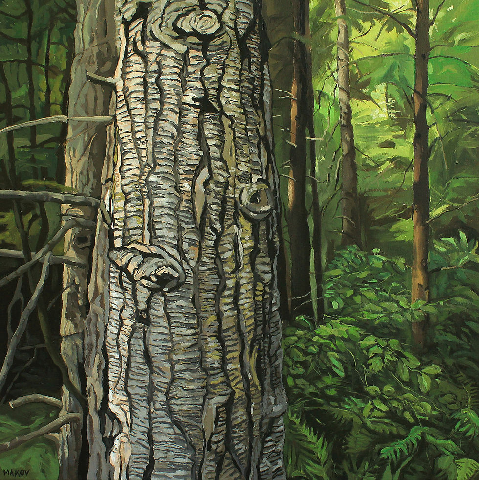 Susan Makov | Fern Walk | 2D