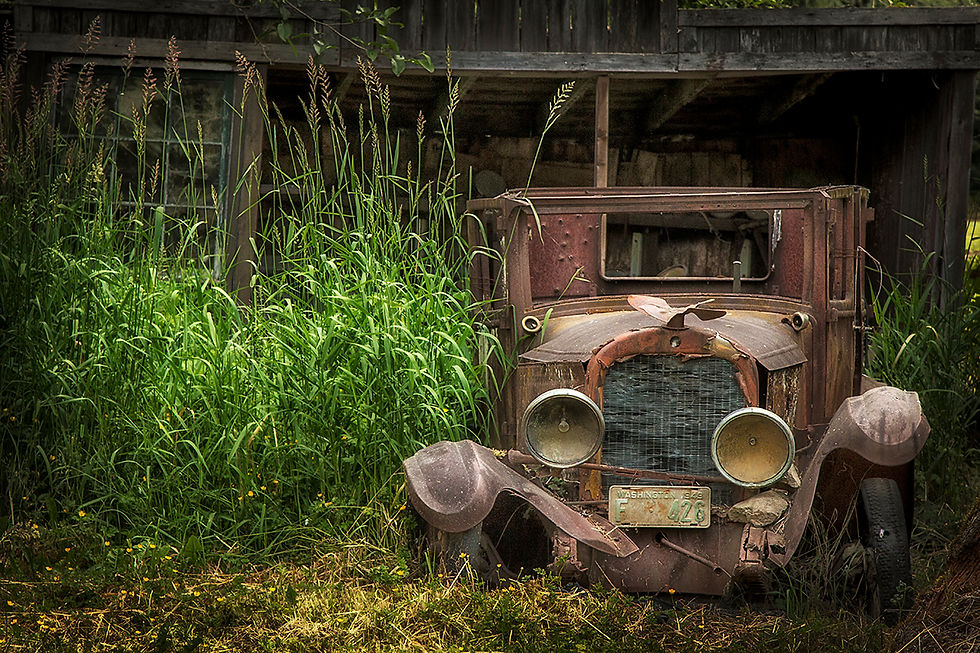 Sonya Lang | Home | Photography
