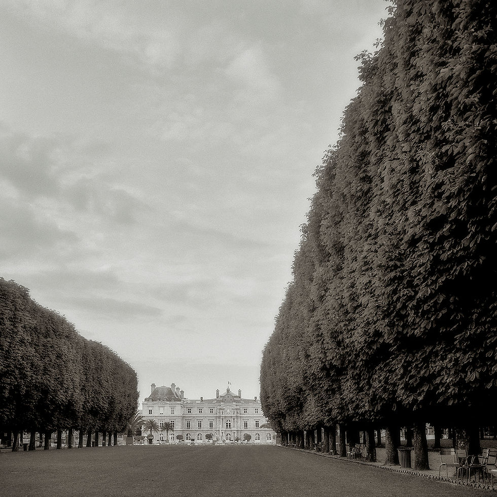 Mel Curtis | Morning Walk in the Luxembourg Garden, Paris | Photography