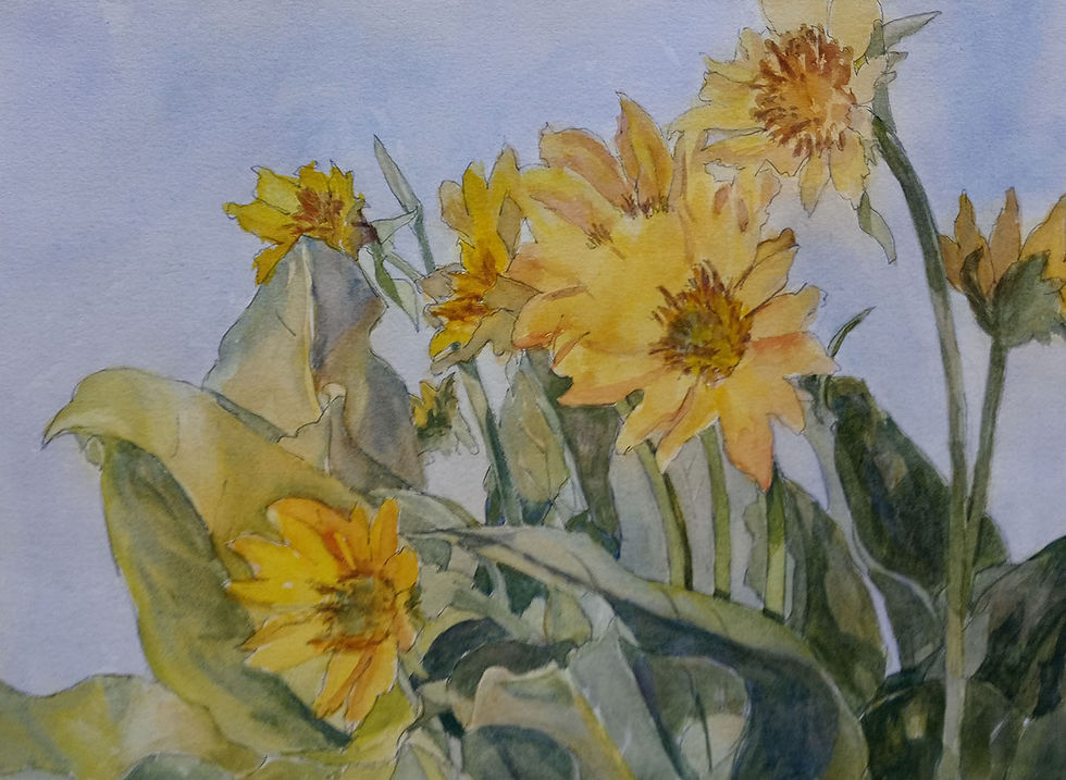 Karen Robinette | Basking in the Sun | 2D