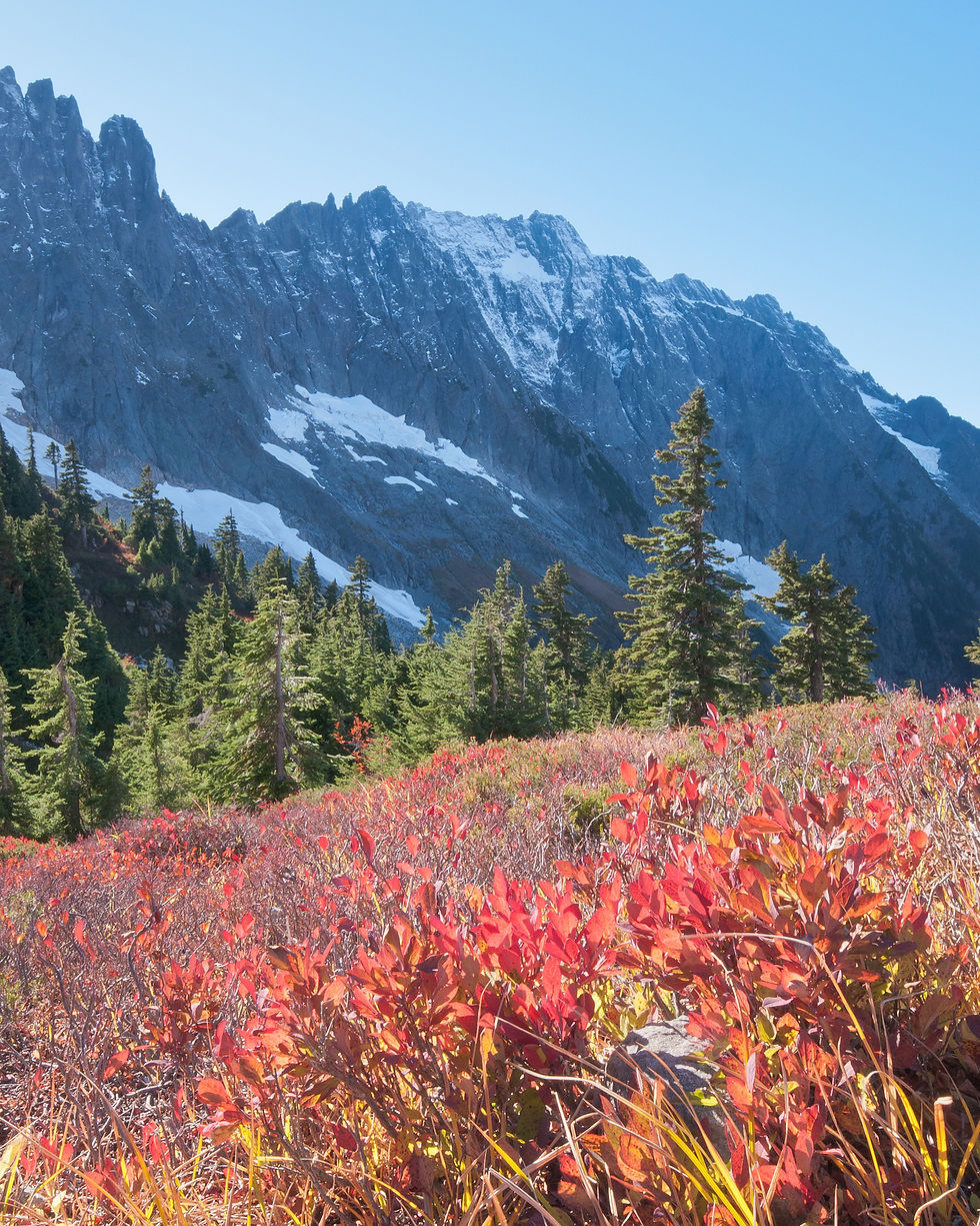 James Anderson | Cascade Pass Autumn | Photography