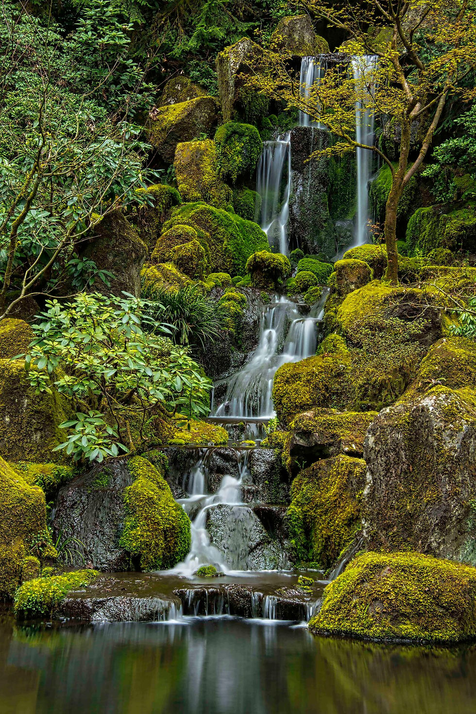 Scott Fenton | Tranquility | Photography | Honorable Mention