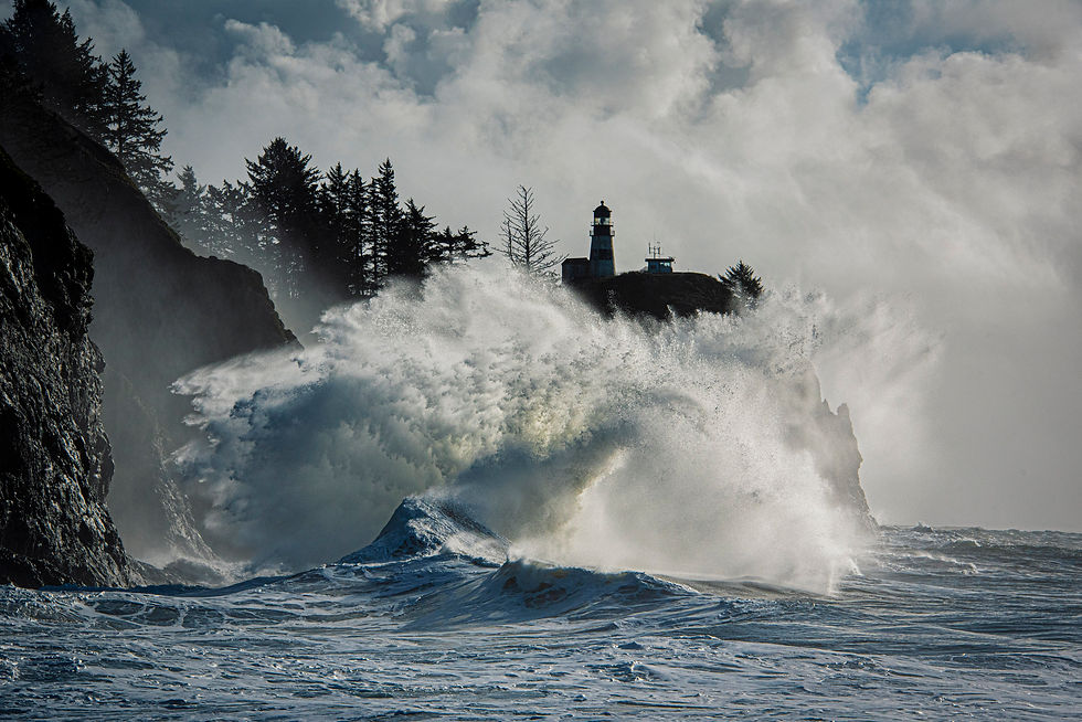 Scott Fenton | Splish Splash | Photography