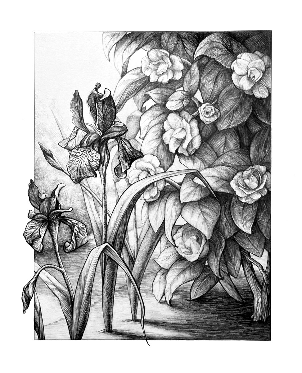 Kristin Frost | Spring Light | 2D